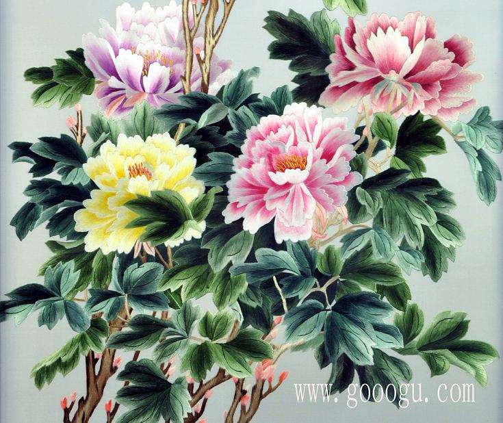 富貴牡丹花細(xì)節(jié)特寫圖、顏色過渡協(xié)調(diào)!