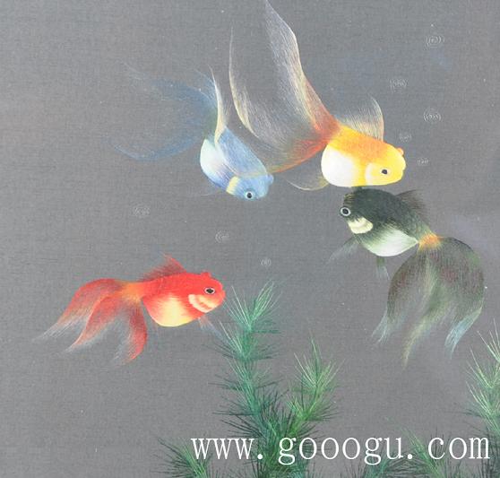金魚(yú)自由自在的游動(dòng)、展現(xiàn)出形態(tài)優(yōu)美的舞姿！