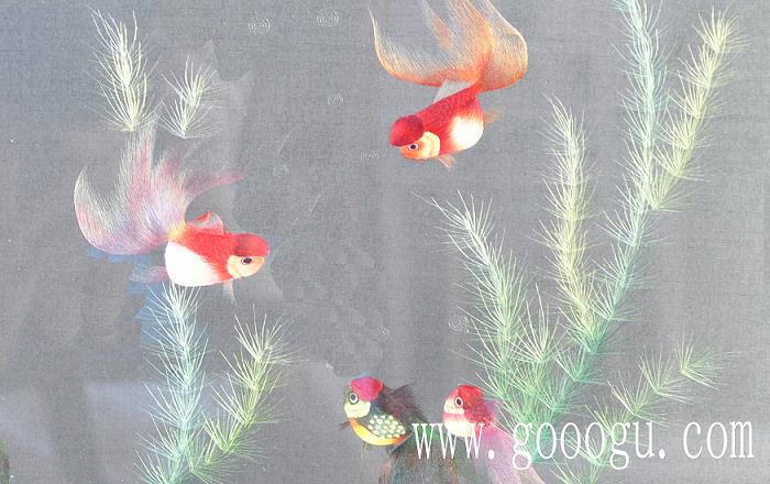 水草金魚(yú)圖